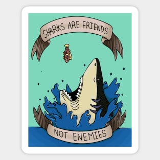 Sharks are Friends not Enemies Sticker